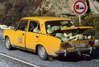 VAZ 2101 cabbage