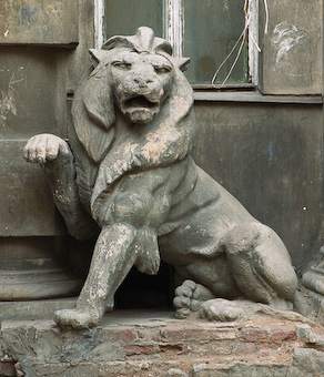 lion