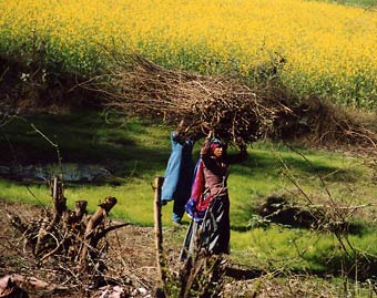 India