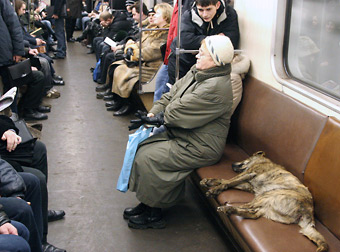 metro