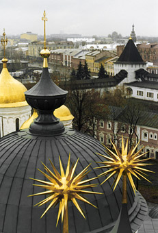 Jaroslavl hedgehogs