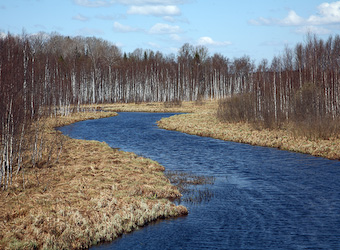 Volga