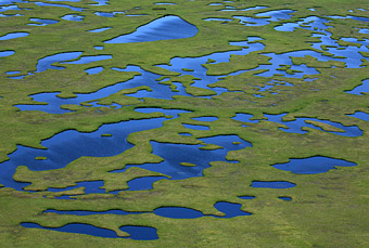tundra, Kamchatka