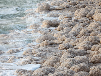 dead sea