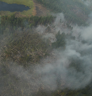 forest fire