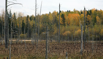 Tver region