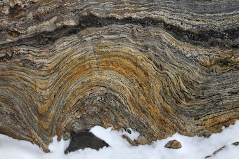 Antarctica stone