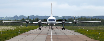 IL-18_still_alive